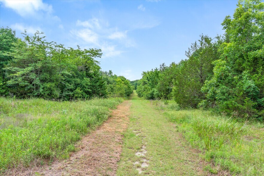 More Photos Of 1745 FM 2737, Lone Oak Land For Sale