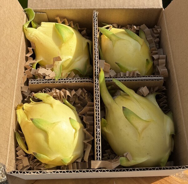 More Photos Of 6018 NW County Road 661A, Arcadia Land For Sale