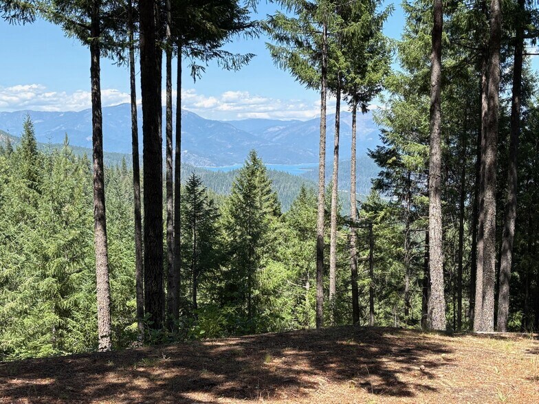 More Photos Of 490 Bear Paw Trl, Trinity Center Land For Sale