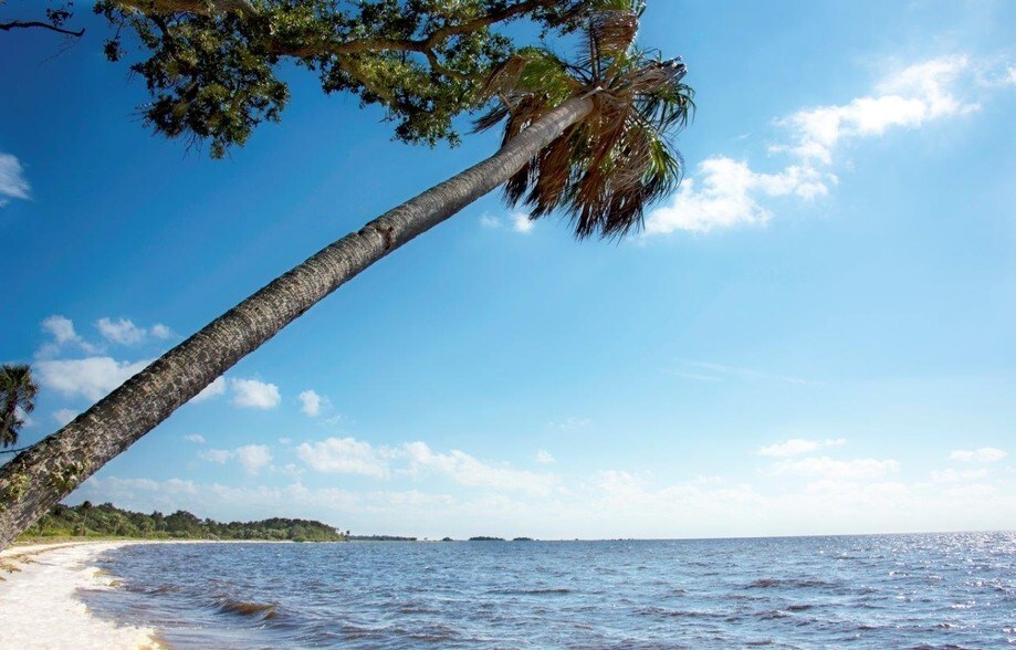 Deer Island, Cedar Key, FL 32625 Land For Sale