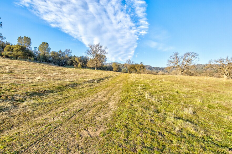 More Photos Of 50871 Road 200, O Neals Land For Sale