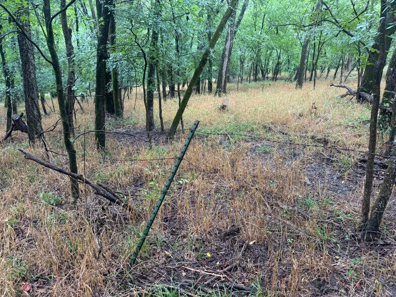 More Photos Of Highway 276, Quinlan Land For Sale