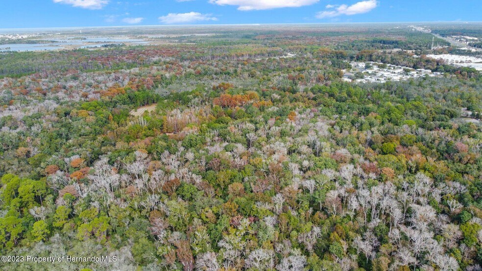 More Photos Of 0 Algood Rd, Spring Hill Land For Sale