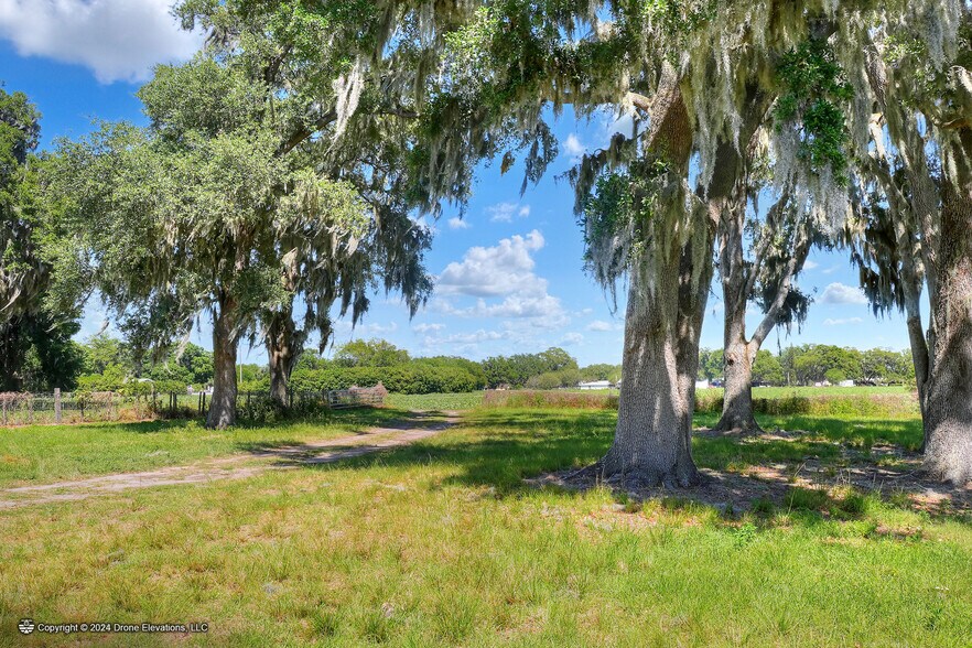 More Photos Of 5625 Stafford Rd, Plant City Land For Sale