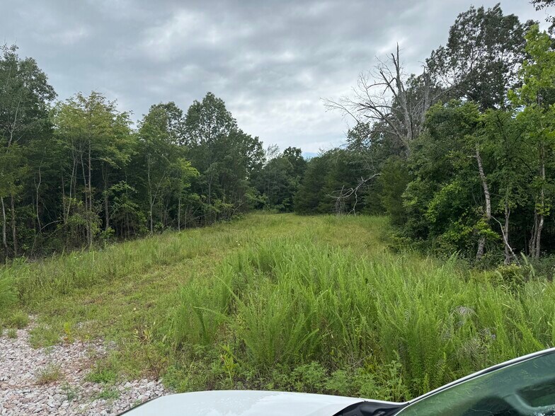 More Photos Of 3309 NC 421, Marble Falls Land For Sale