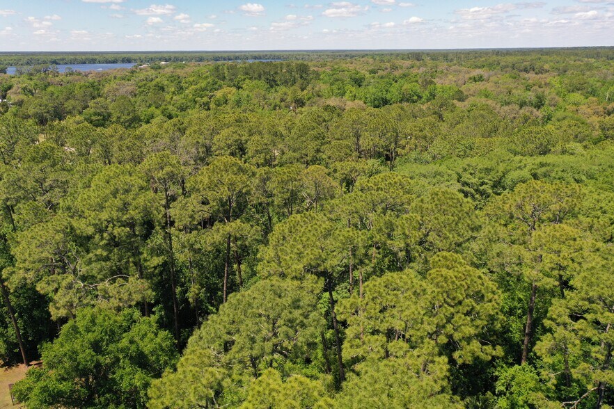 More Photos Of 638 Walnut St, Welaka Land For Sale