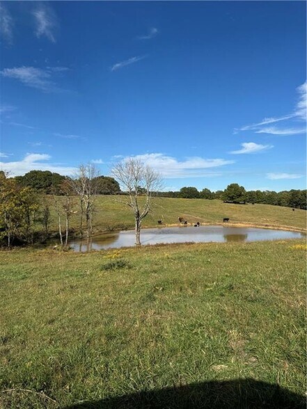 More Photos Of 17140 Skelton Rd, Winslow Land For Sale