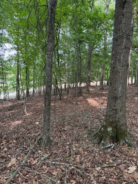 More Photos Of 357 Linwood dr, Gainesville Land For Sale