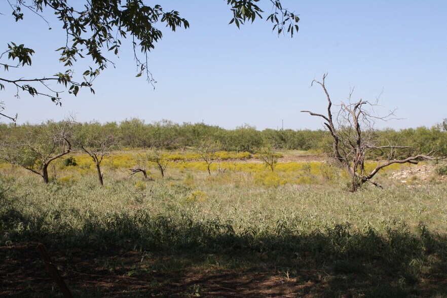 More Photos Of 250 County Road 216, Jarrell Land For Sale