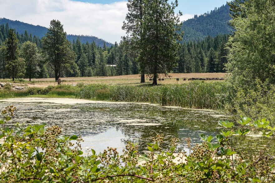 More Photos Of 44510 State 96 Hwy, Seiad Valley Land For Sale