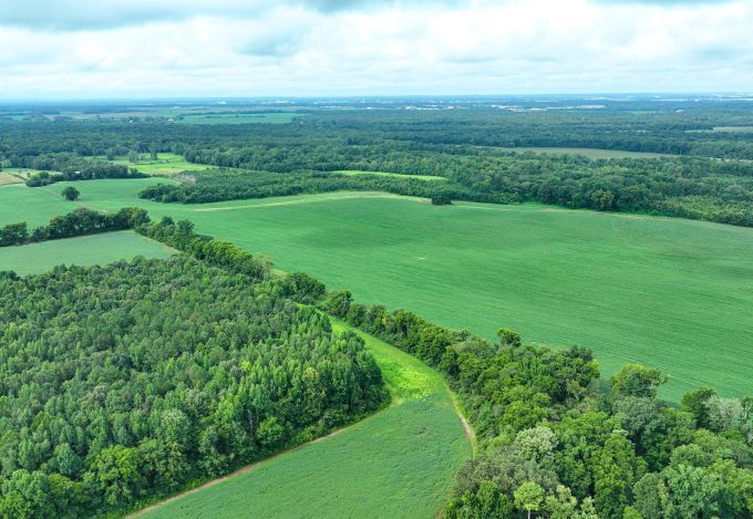 More Photos Of Fennell Ln, Tanner Land For Sale