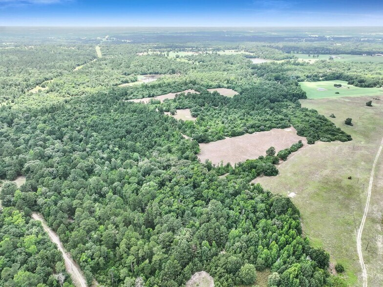 More Photos Of 8323 County Road 292, Buffalo Land For Sale