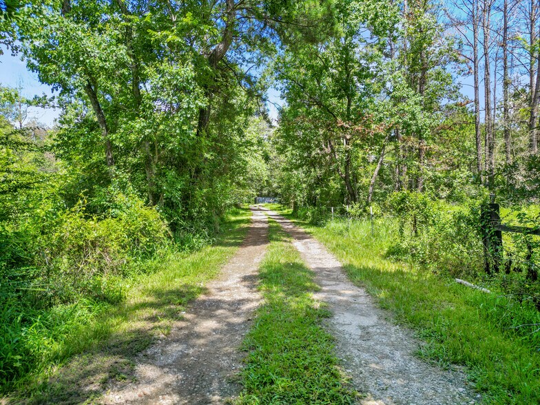 More Photos Of 17419 FM 1485 Rd, New Caney Land For Sale