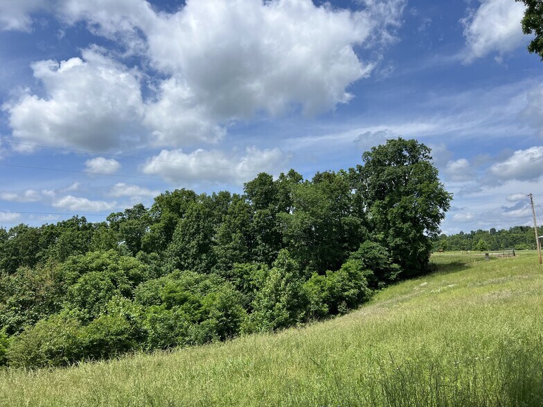 More Photos Of 1566 Preston Ridge Rd, Mulberry Land For Sale