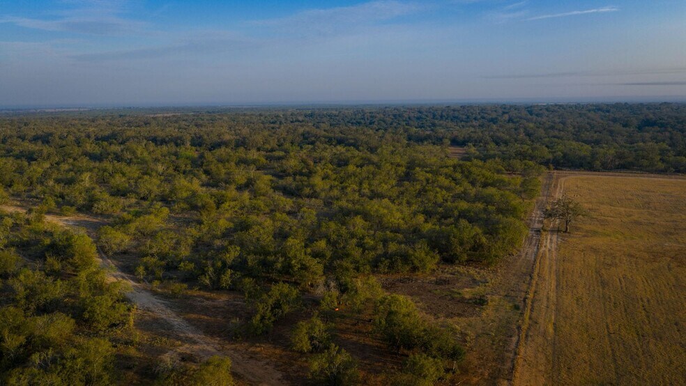 More Photos Of 879 County Road 421, Gonzales Land For Sale