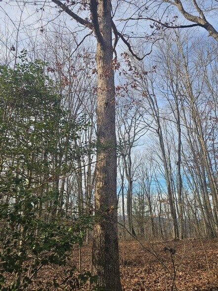 More Photos Of 762 Smith Mountain Rd, Dunlap Land For Sale