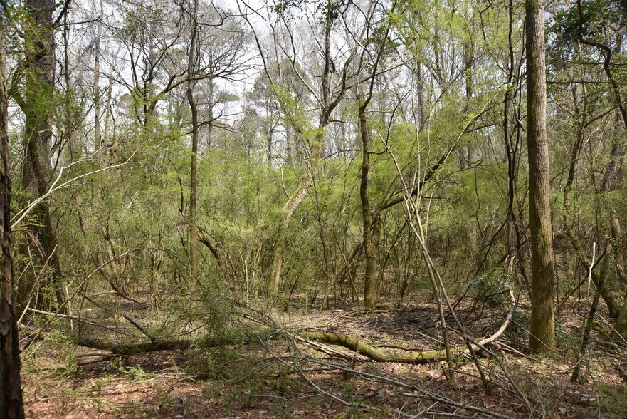 More Photos Of Warm Springs Rd @ GA-208, Waverly Hall Land For Sale