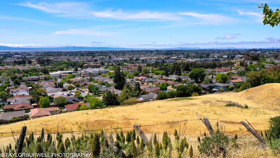 More Photos Of 29831 Clearbrook Cir, Hayward Land For Sale