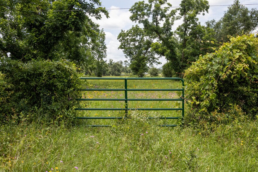 More Photos Of 000 US Highway 90, Live Oak Land For Sale