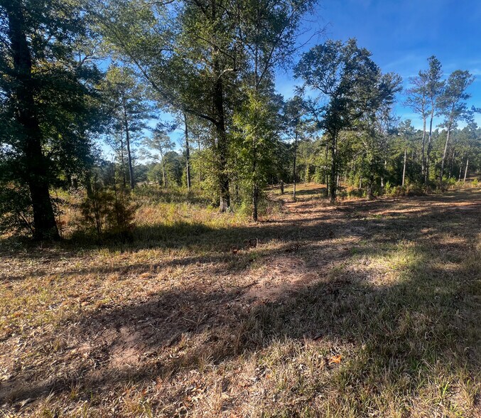 More Photos Of 0 Highway 198, Lucedale Land For Sale