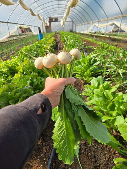 More Photos Of 3526 Front St, Palisade Specialty For Sale