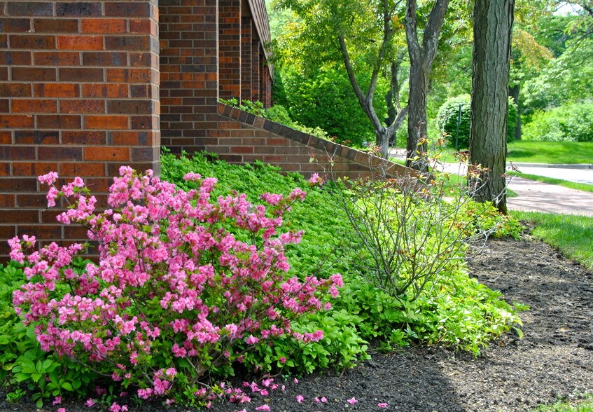 More Photos Of 411 Business Center Dr, Mount Prospect Office For Lease