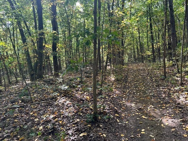 More Photos Of 160 Brookline St, Worcester Land For Sale