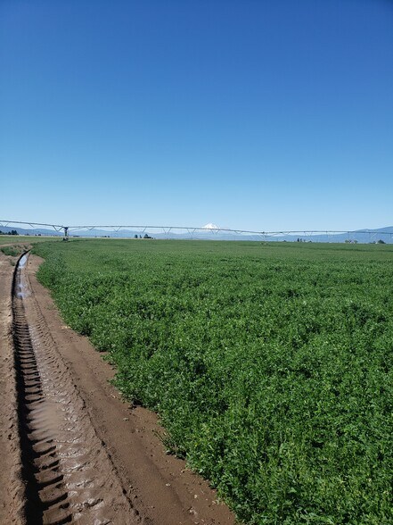 More Photos Of 740 N Butte St, Dorris Land For Sale