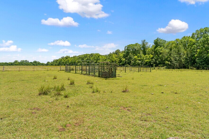 More Photos Of 10840 FM 442, Boling Land For Sale