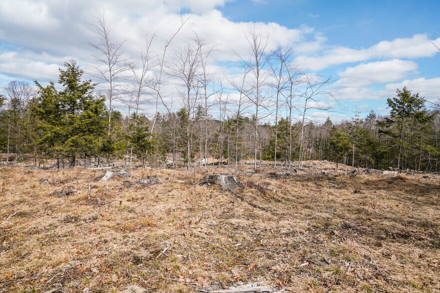 More Photos Of Lot 32-1 Chestnut Hill Road Rd, New Boston Land For Sale