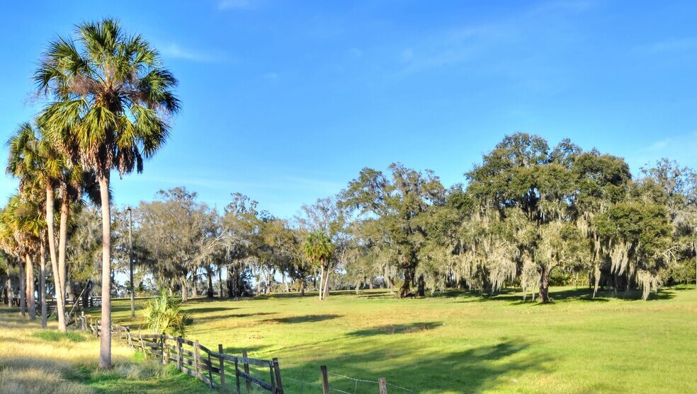 More Photos Of 8418 Lupton Place pl, Plant City Land For Sale