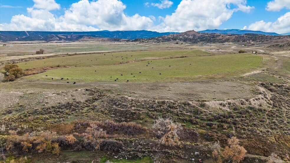 More Photos Of 584 County Road 331, Silt Distribution For Sale