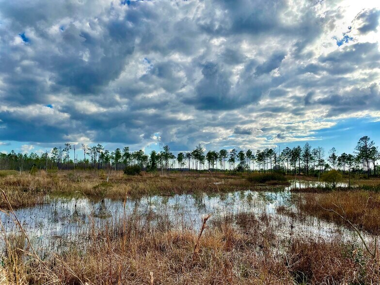More Photos Of 19858 State Road 52, Land O' Lakes Land For Sale