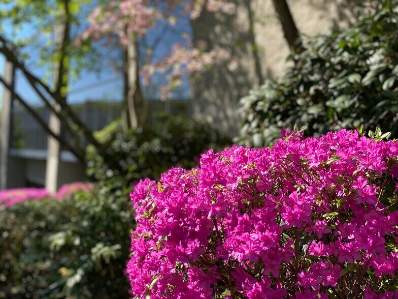 More Photos Of 13 Branch St, Methuen Medical For Lease