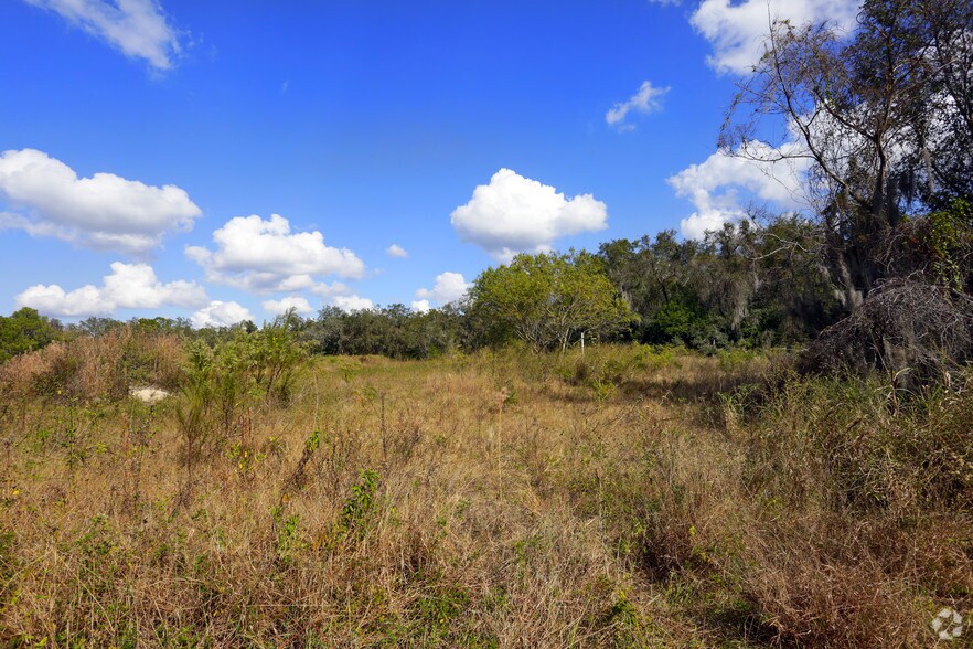 More Photos Of 12653 Telecom Dr, Tampa Office For Lease