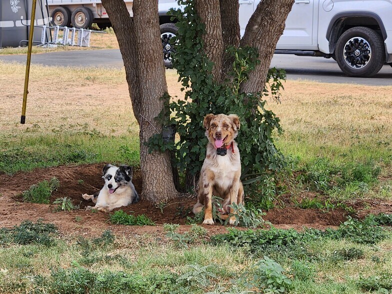 More Photos Of 2401 County Road 1050 Midland Texas 79782, Midland Land For Sale