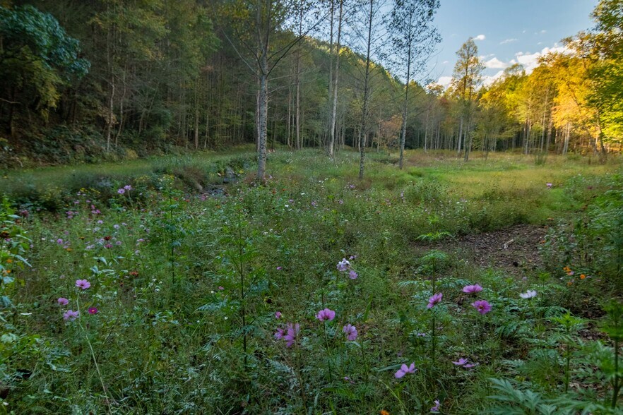 More Photos Of 2108 River Hill Road, Murphy Land For Sale