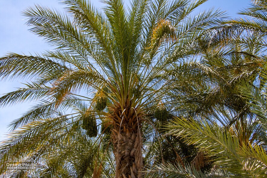 More Photos Of ,  Land For Sale