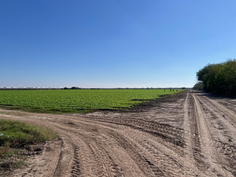 More Photos Of 271.62 Acs on West side of Pharr Intl. Bridge, Pharr Land For Sale