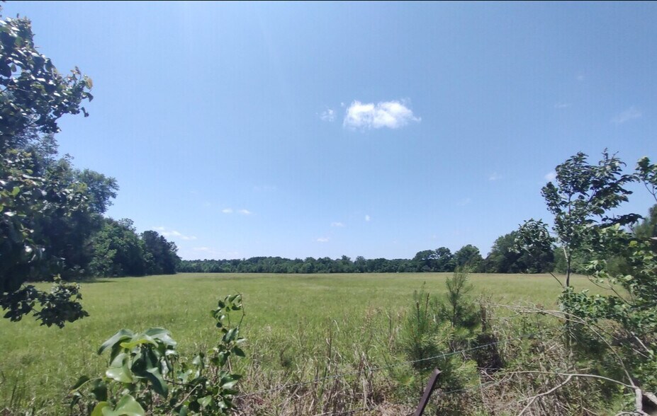 Primary Photo Of Ravenwood Drive And Bell Road, Selma Land For Sale