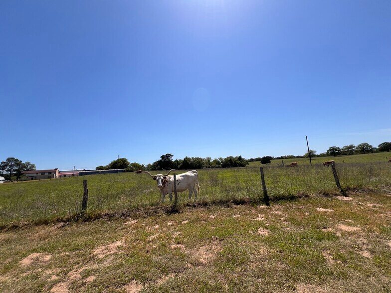 More Photos Of 2504 SH-304, Smithville Warehouse For Sale