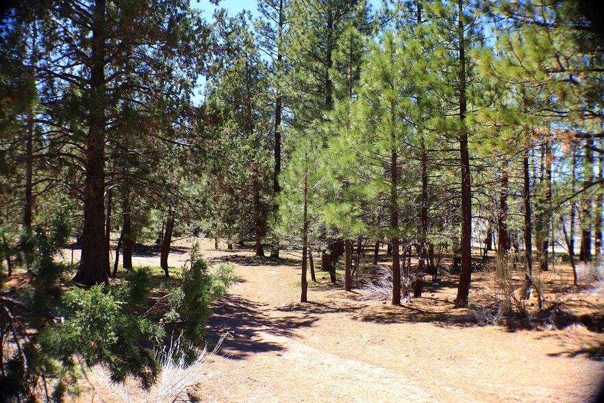More Photos Of 42167 Big Bear Blvd, Big Bear Lake Land For Lease