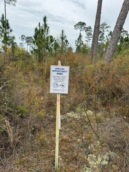More Photos Of Lost River Rd, Seminole Land For Sale
