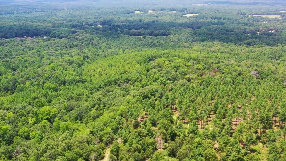 Primary Photo Of TBD State Hwy 64, Tyler Land For Sale