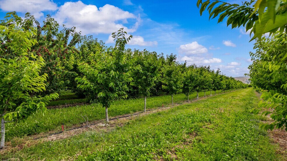 More Photos Of 20809 Nowhere Rd, Eckert Land For Sale