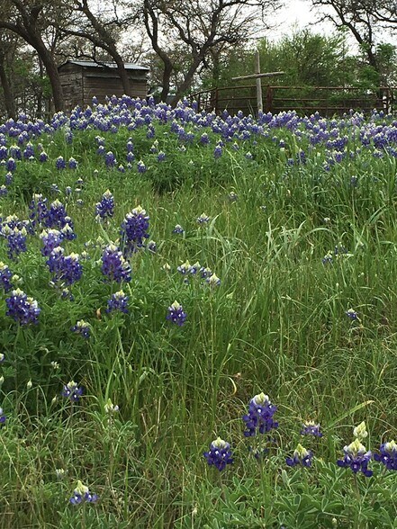 More Photos Of 2401 W Whitestone Blvd, Cedar Park Land For Sale