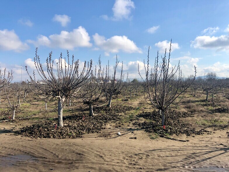More Photos Of 980 N Farmersville Blvd, Farmersville Land For Sale
