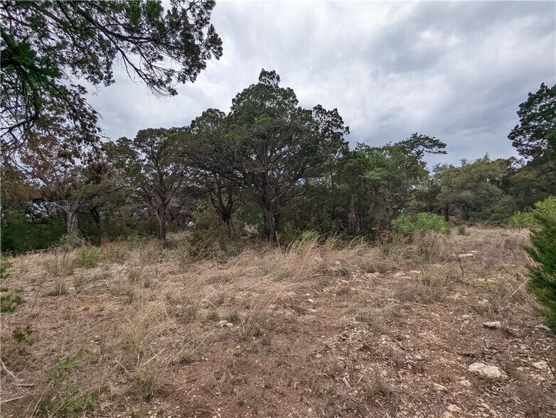 More Photos Of 19712 Tyler Trl, Jonestown Land For Sale