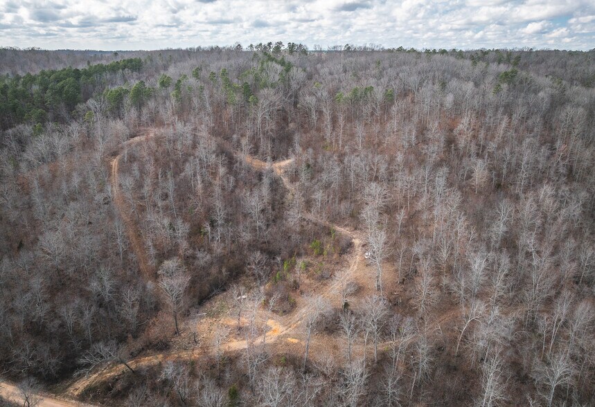 More Photos Of 3385 County Road 5615, Bunker Land For Sale