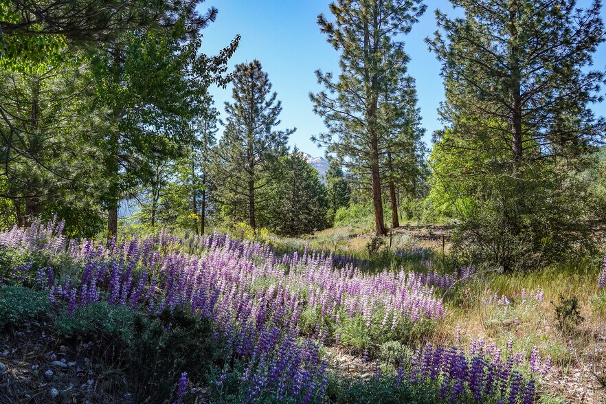 More Photos Of 10800 South Hwy 3 hwy, Callahan Land For Sale